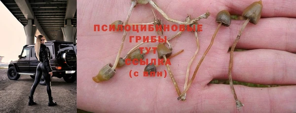 спайс Алзамай