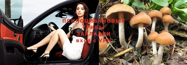 спайс Алзамай