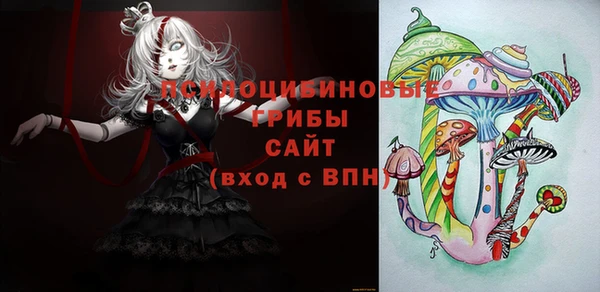 спайс Алзамай