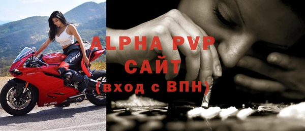 стафф Алексин