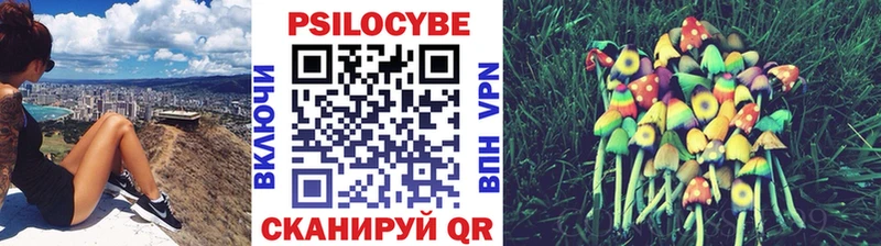 Псилоцибиновые грибы мицелий  Енисейск 